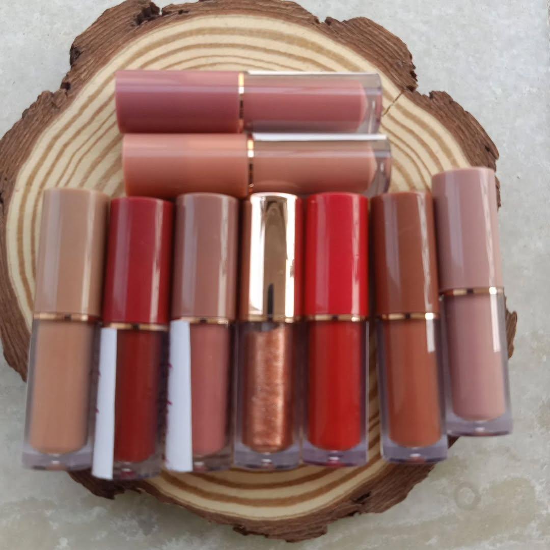 High Pigment Lip Gloss Matte Finish 2ml Tones