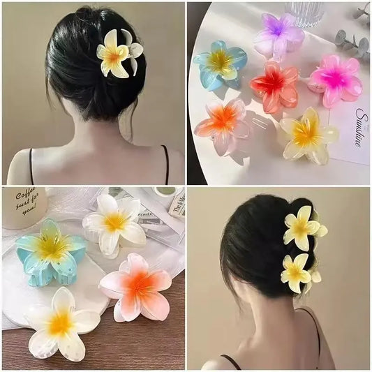 *Product Name*: Floral Hair Catchers Multi Color Acrylic