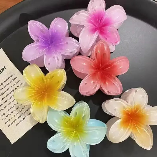 *Product Name*: Floral Hair Catchers Multi Color Acrylic