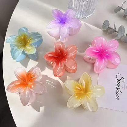 *Product Name*: Floral Hair Catchers Multi Color Acrylic